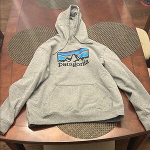 Patagonia Gray Hoodie Size Large